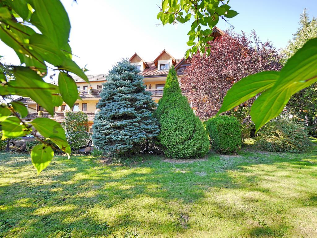 Ringhotel Garni Pflug Oberkirch  Exterior photo